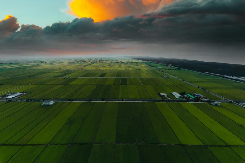 pexels pok rie 33563 11766748